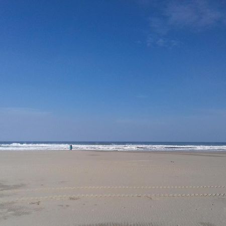 Beau Studio Vue Mer Canet Sud Ngoại thất bức ảnh